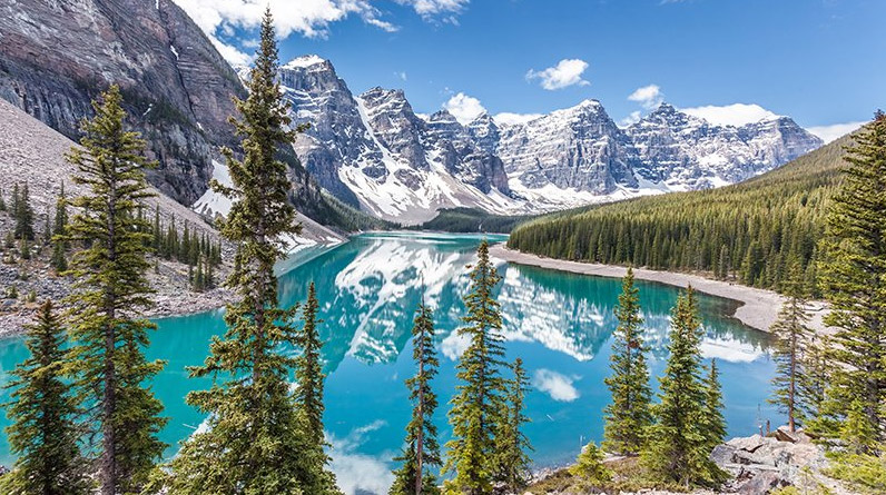 Forêt canadienne - Parc national de Banff